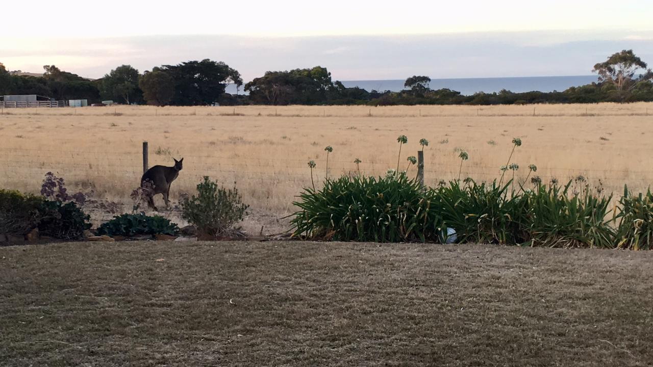Bee'S Place - 3 Bedroom Home On 10 Acres Of Land With Distant Ocean Views Emu Bay エクステリア 写真