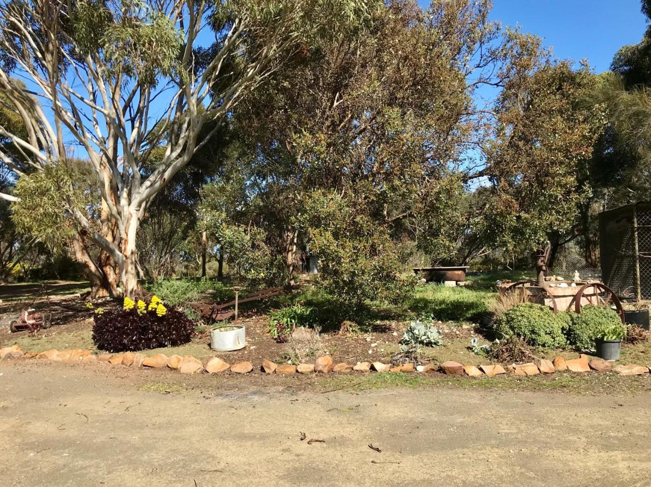 Bee'S Place - 3 Bedroom Home On 10 Acres Of Land With Distant Ocean Views Emu Bay エクステリア 写真